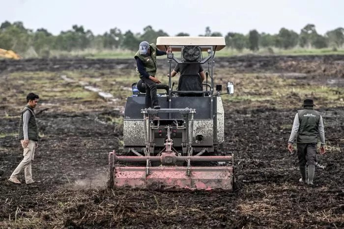 Upaya Kolektif Membangun Ketahanan Pangan di Bumi Cenderawasih
