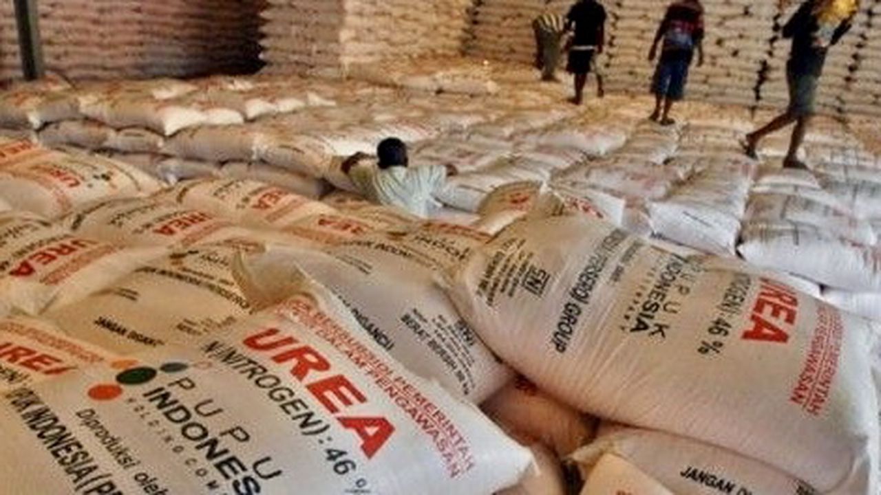 Ditengah Lonjakan Harga Global, Presiden Prabowo Jaga Ketahanan Pangan lewat Pupuk Subsidi