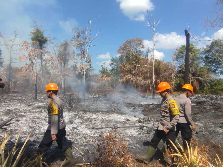 Upaya Pencegahan Karhutla Terus Digencarkan di Wilayah Rawan