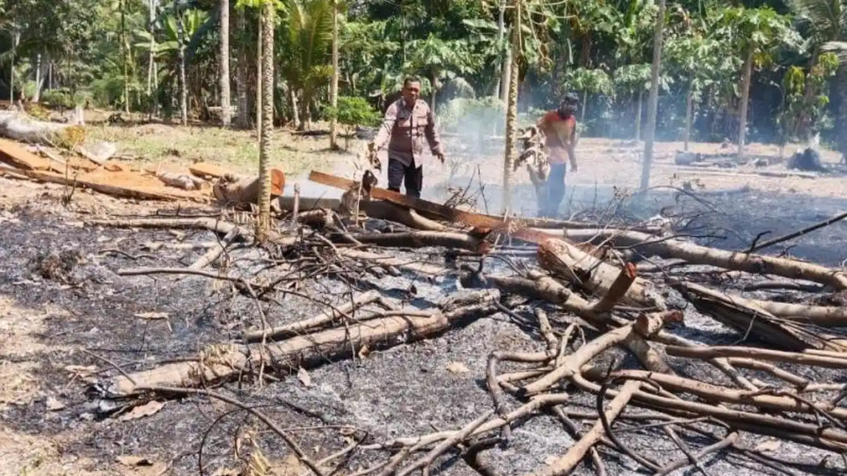 Pemerintah Perkuat Mitigasi Karhutla di Sumatra, Kalimantan, Hingga Jawa