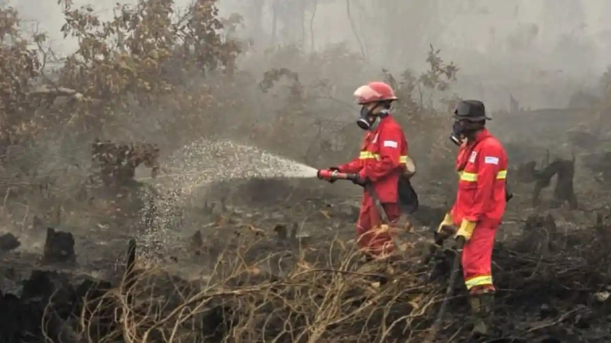 Dari Hotspot hingga Water Bombing, Strategi Pemerintah Tekan Ancaman Karhutla