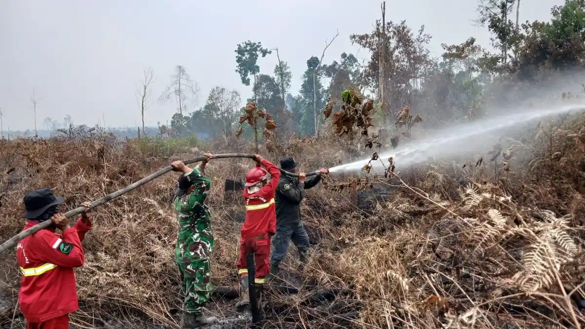 Penanganan Karhutla Terus Diintensifkan, Pemerintah Perkuat Koordinasi Lapangan